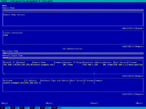 Screenshot of how the dhcpd formula looks like